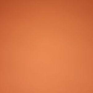 Meet your Posher, Lorena